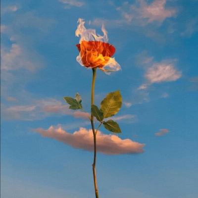 皇冠app下载官方版