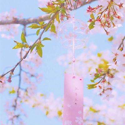 6566体育手机app下载